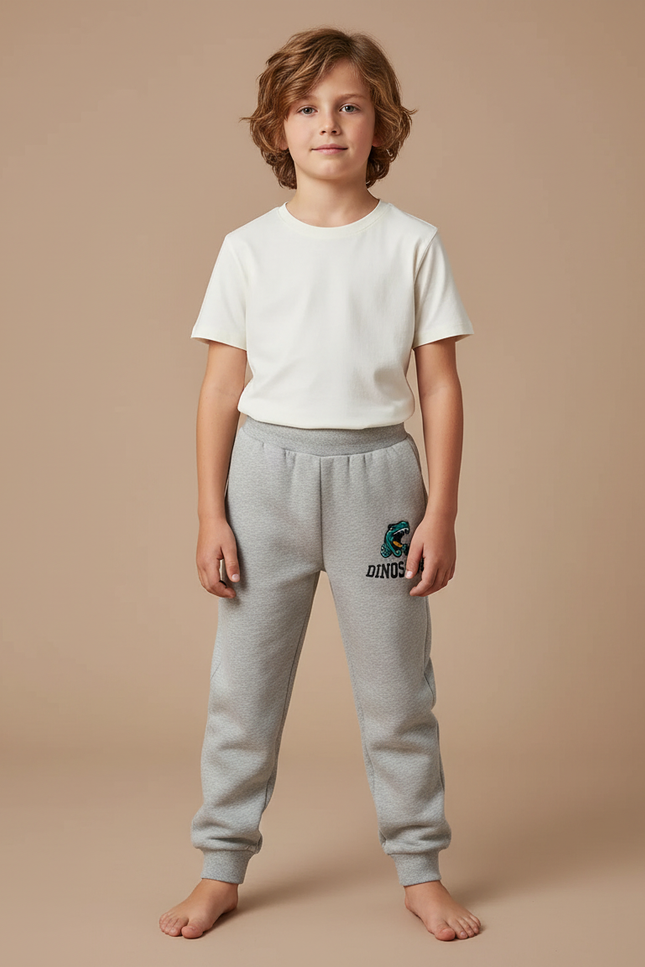 Pantalon Gris Molletonné Confortable Imprimé Dinosaure Enfant