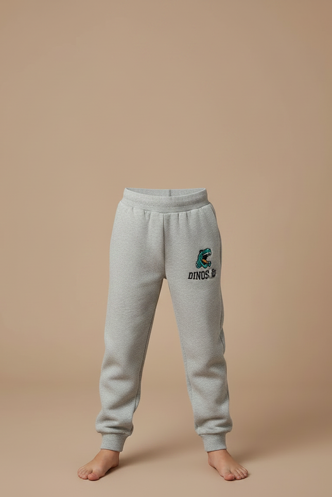 Pantalon Gris Molletonné Confortable Imprimé Dinosaure Enfant - vue 3