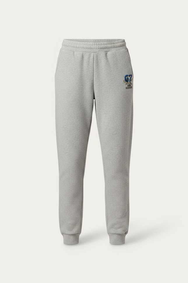Pantalon Gris Molletonné Imprimé Logo Sport Décontracté - vue 3